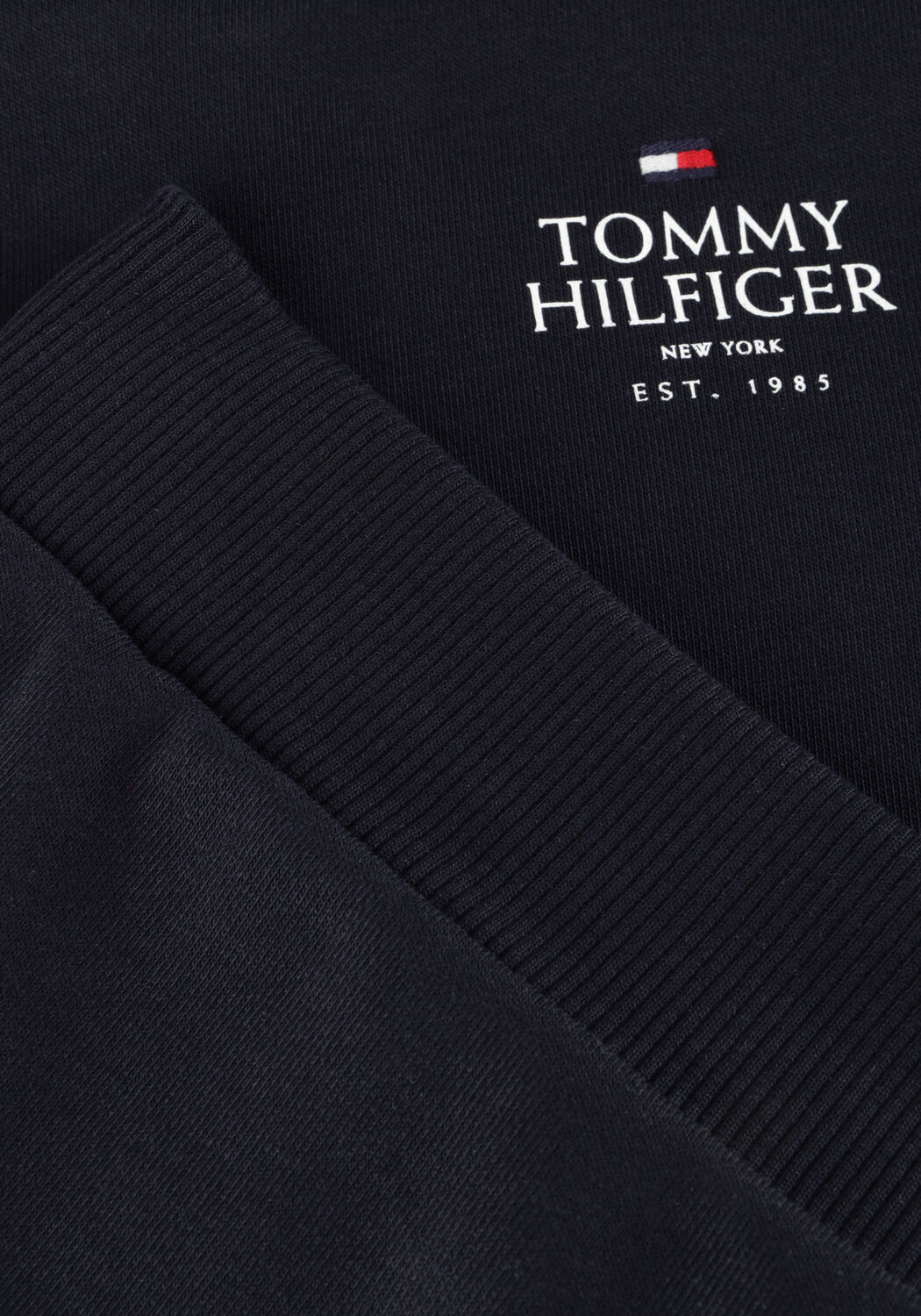 TOMMY HILFIGER Jongens Truien & Vesten Th Logo Puff Print Reg Hoodie Blauw