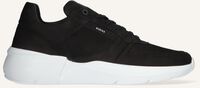 Zwarte NUBIKK Lage sneakers ROQUE ROAD HEREN - medium
