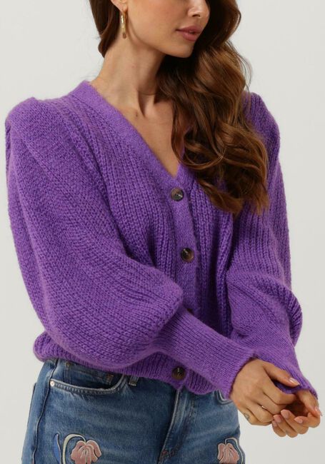 Paarse FREEBIRD Trui LAVIE CARDIGAN - large