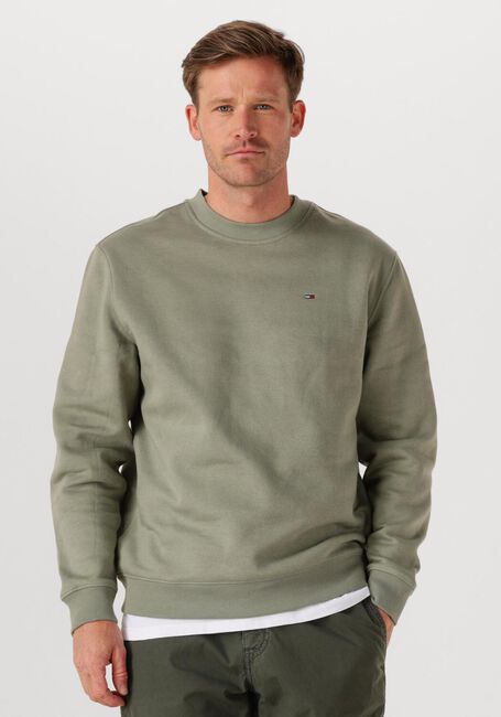 Groene TOMMY JEANS Sweater TJM REG S FLAG CREW EXT - large
