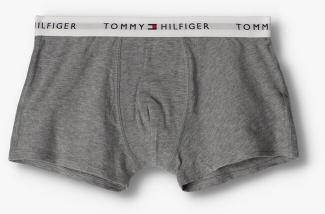 Grijze TOMMY HILFIGER UNDERWEAR Boxershort 2P TRUNK BOXER TH - large