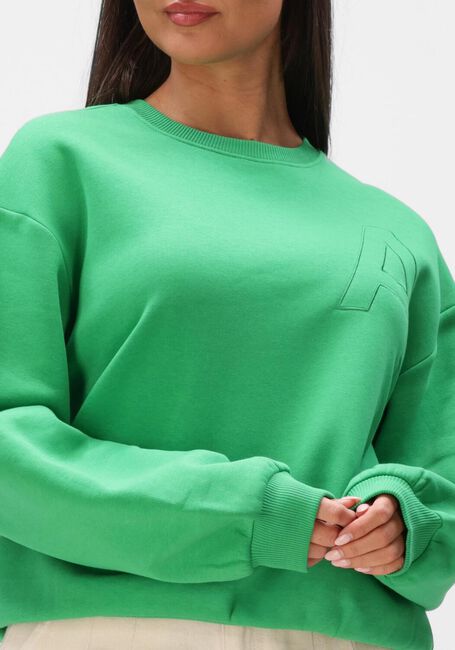 Groene ALIX THE LABEL Sweater LADIES KNITTED EMBROIDERED A SWEATER - large