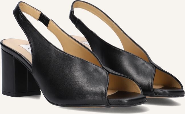 NOTRE-V 16068 NOTRE-V 16068 - large