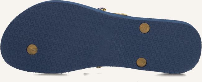 UZURII ALEXIA UZURII ALEXIA - large