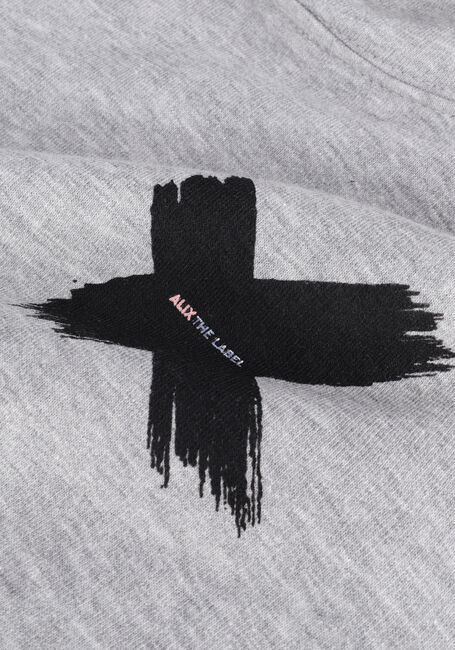 Grijze ALIX MINI Truien/vesten TEENS KNITTED X HOODIE - large