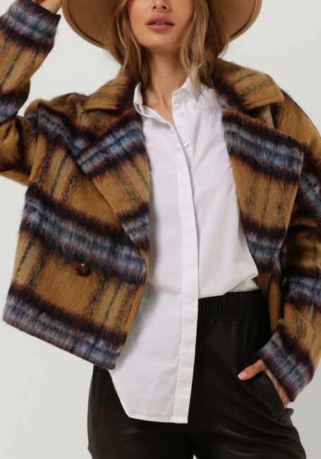 Camel IBANA Jack CHECKERD - large