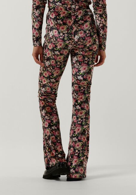 Paarse COLOURFUL REBEL Flared broek JOLIE FLOWER VELVET FLARE PANTS - large