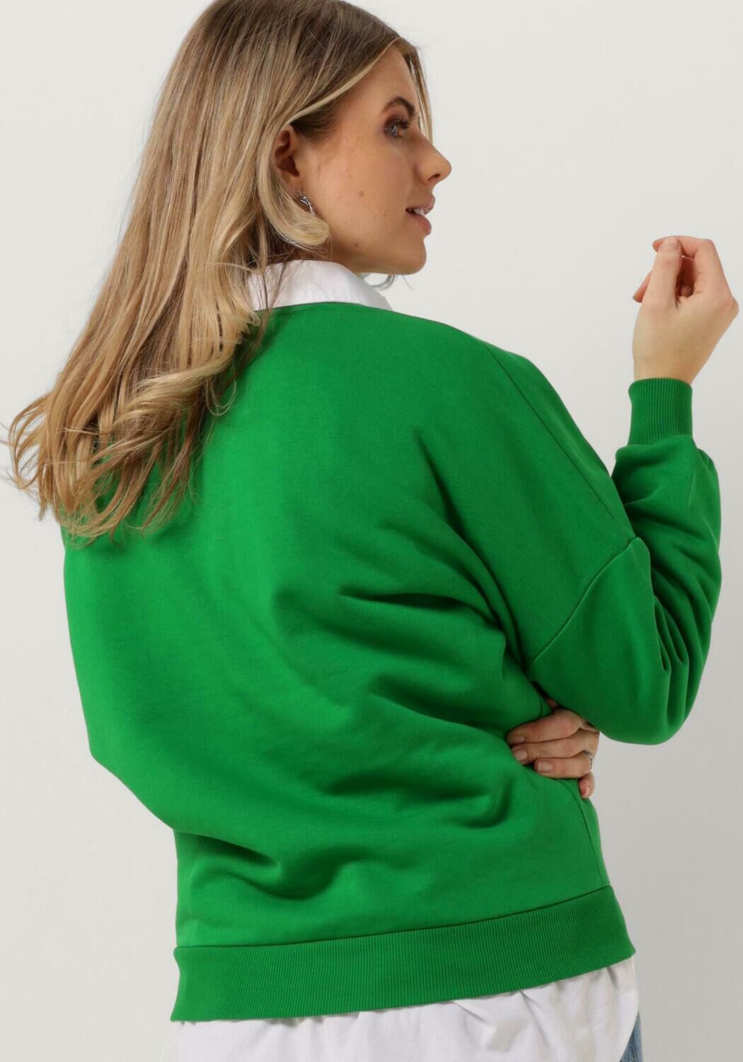 COLOURFUL REBEL Dames Truien & Vesten Cr Embro Dropped Shoulder Sweat Groen