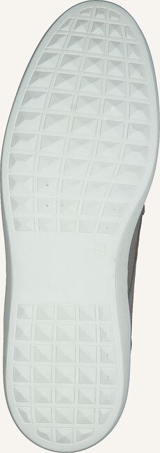 Grijze GAASTRA Lage sneakers TILTON Grijze GAASTRA Lage sneakers TILTON - large