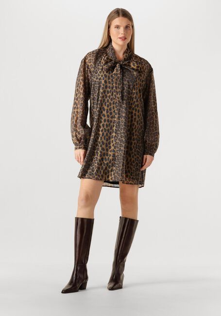 Bruine DANTE6 Mini jurk LEIGH LEOPARD DRESS - large