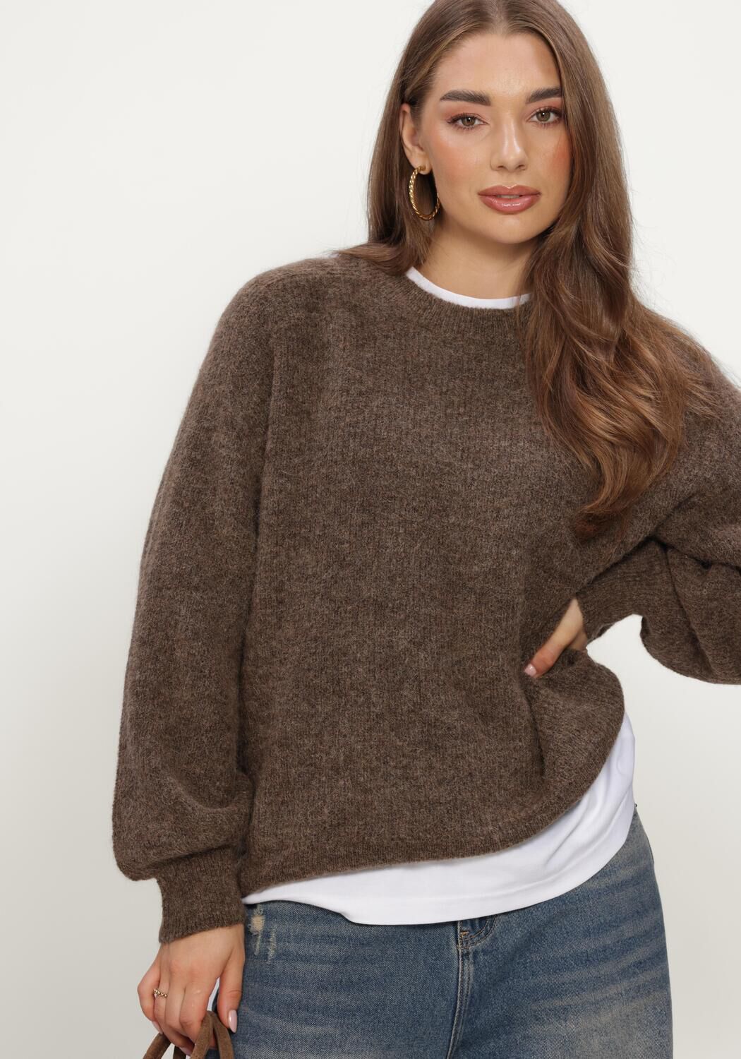 Bruine SELECTED WOMEN Trui SLWLULU LS KNIT RELAXED O-NECK - large