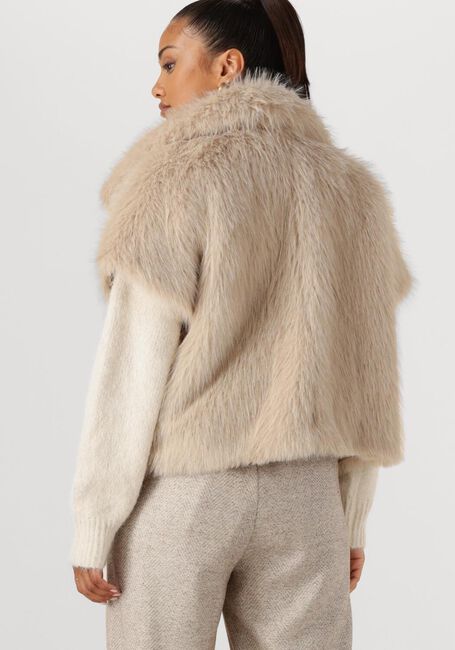 Beige NUKUS Gilet LOUA GILET - large