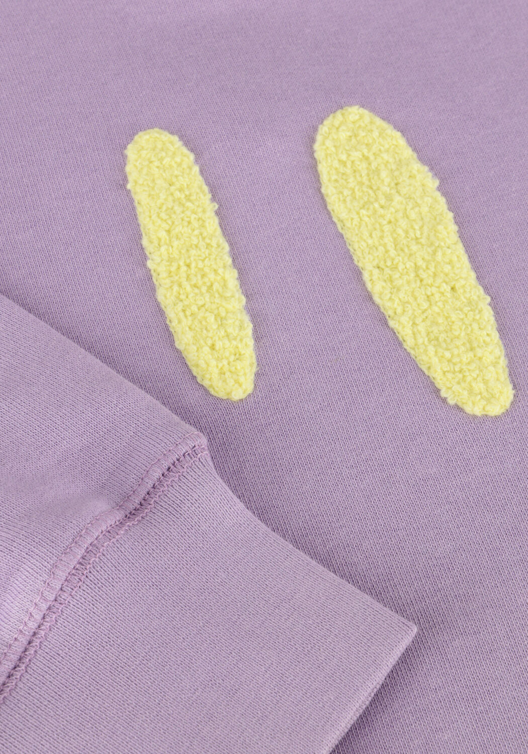 Paarse MOLO Sweater MIKE - large