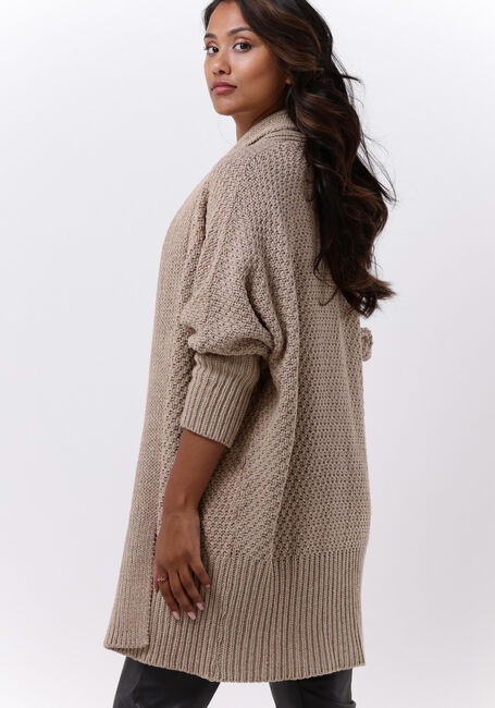 Beige SIMPLE Vest ICE KNIT-ECO-COT-22-3 - large