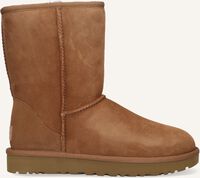 Camel UGG Vachtlaarzen CLASSIC SHORT II Camel UGG Vachtlaarzen CLASSIC SHORT II - medium