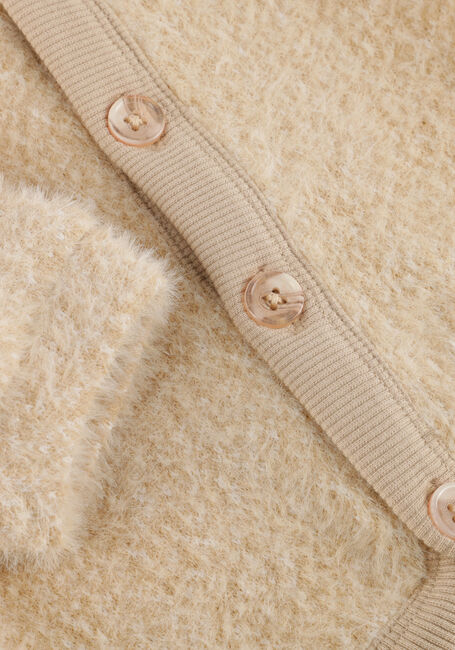 BAJE STUDIO FECHY - large