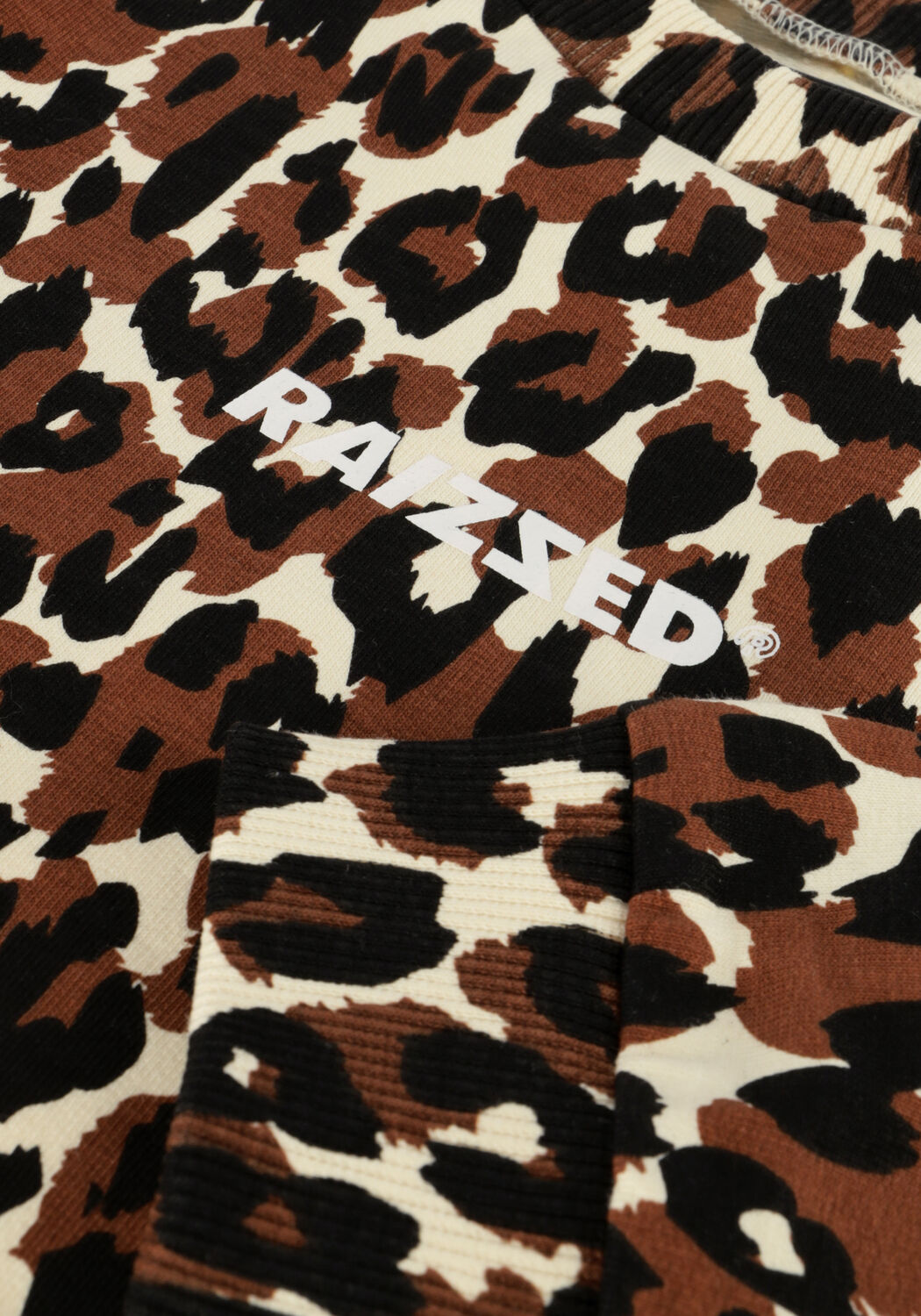 Bruine RAIZZED Sweater HANNA - large