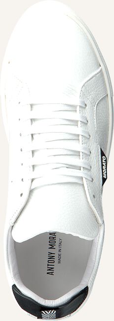 Witte ANTONY MORATO Lage sneakers MMFW01248 Witte ANTONY MORATO Lage sneakers MMFW01248 - large