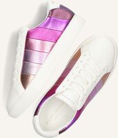 Witte KURT GEIGER LONDON Lage sneakers LANE STRIPE Witte KURT GEIGER LONDON Lage sneakers LANE STRIPE - medium