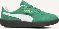 Groene PUMA Lage sneakers PALERMO JR Groene PUMA Lage sneakers PALERMO JR - medium