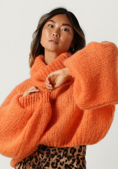 Oranje AMERICAN DREAMS Coltrui PEPPER ROLL NECK CROPPED - large