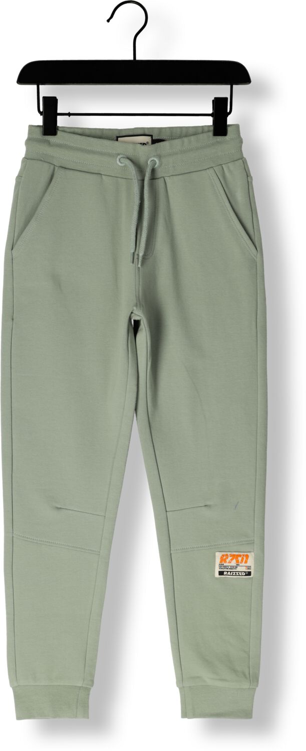 Raizzed tapered fit joggingbroek Tezu met logo zachtgroen Jongens Sweat 140
