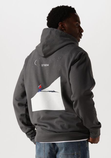 Grijze STRØM Clothing Trui HOODIES - large