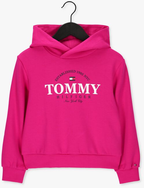 Roze TOMMY HILFIGER Trui TOMMY FOIL GRAPHIC HOODIE - large