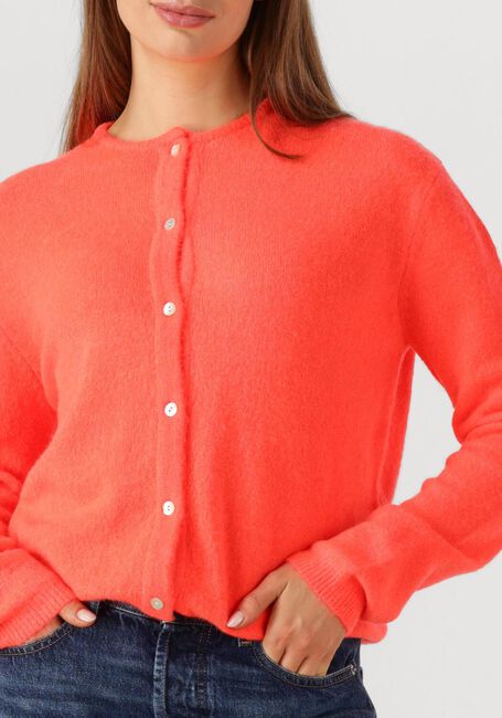 Rode CIRCLE OF TRUST Vest BODI CARDIGAN - large