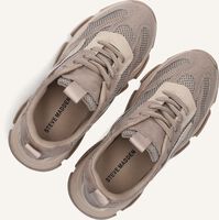 STEVE MADDEN JPOSSESSION STEVE MADDEN JPOSSESSION - medium