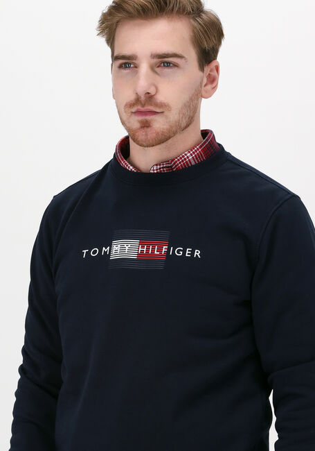 Donkerblauwe TOMMY HILFIGER Sweater LINES HILFIGER CREWNECK - large