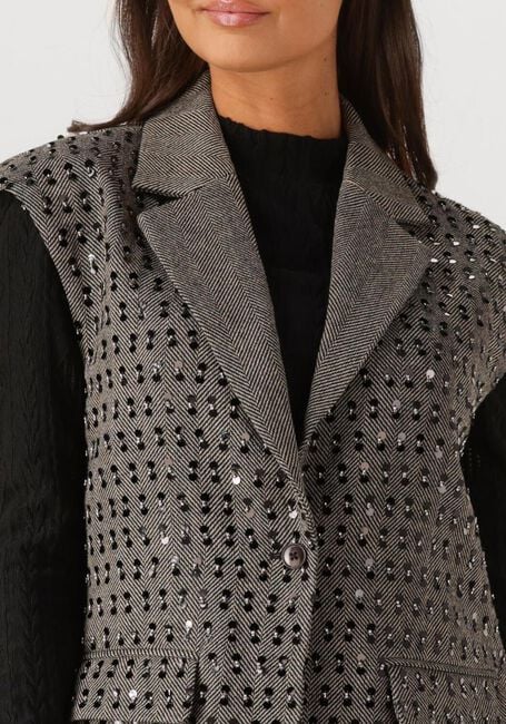 Grijze AAIKO Blazer IVANNA  PES 255 - large