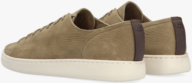 Taupe UGG Lage sneakers M PISMO LOW - large