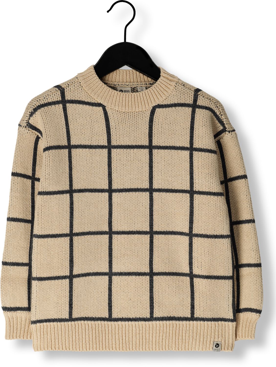 DAILY7 Jongens Truien & Vesten Knitted Sweater Big Check Beige