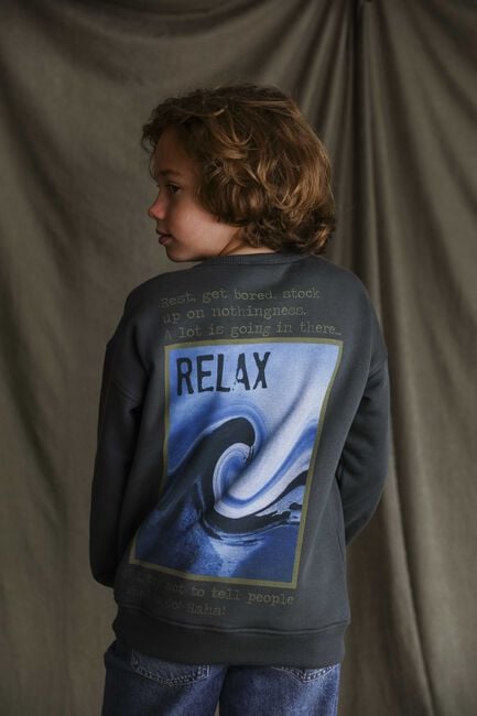 Donkergrijze AMMEHOELA Sweater ROCKY - large