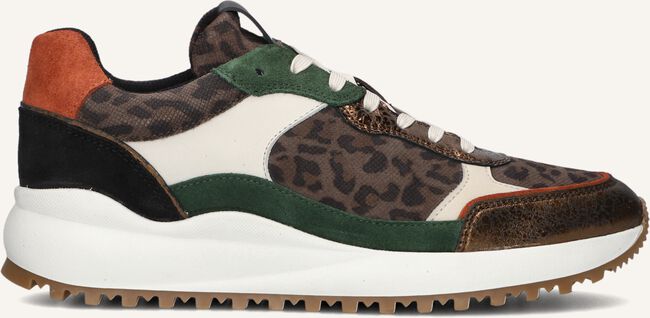 Bronzen MARUTI Lage sneakers BILLA Bronzen MARUTI Lage sneakers BILLA - large