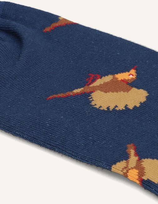 Blauwe ALFREDO GONZALES Sokken ROODBORSTJE Blauwe ALFREDO GONZALES Sokken ROODBORSTJE - large