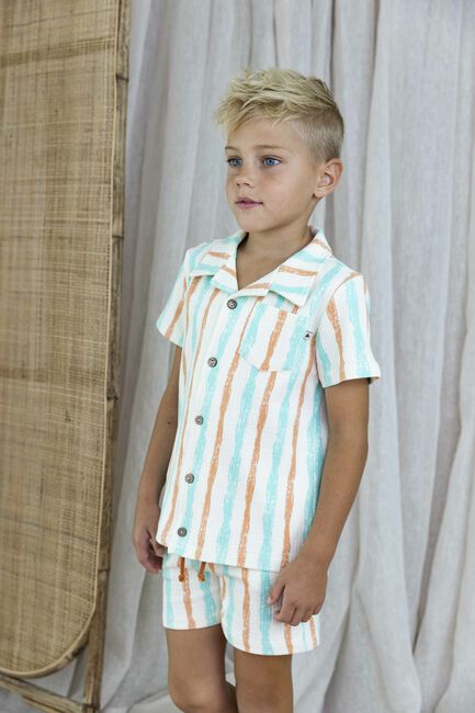 Multi AMMEHOELA Korte broek AM.APOLLO.22 - large