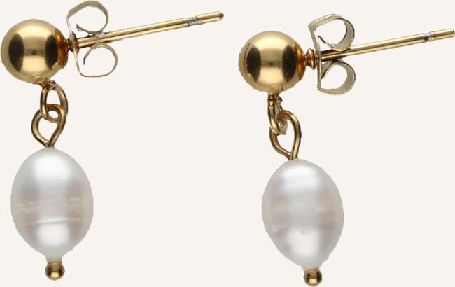 Goudkleurig NOTRE-V Oorbellen OORBEL STUD PAREL Goudkleurig NOTRE-V Oorbellen OORBEL STUD PAREL - large