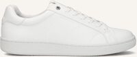 Witte BJORN BORG Lage sneakers T305 HEREN - medium
