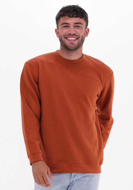 Bruine SELECTED HOMME Trui SLHRELAXMORELL CREW NECK SWEAT W - large