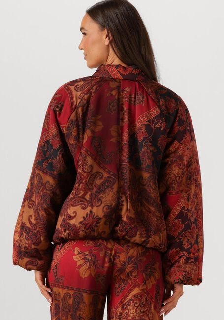 Multi AMAYA AMSTERDAM Jack FAITH - large