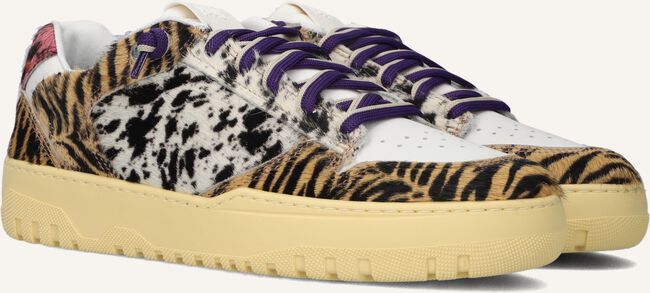 Multi P448 Lage sneakers MASON WMN Multi P448 Lage sneakers MASON WMN - large