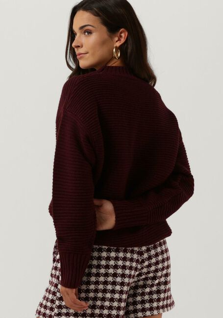 Bordeaux AMAYA AMSTERDAM Trui DONNA KNITWEAR - large