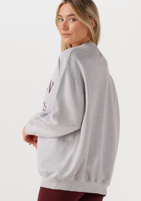 Lichtgrijze DEBLON SPORTS Sweater LILOU SWEATER - large