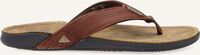 Bruine REEF Teenslippers J-BAY III - medium