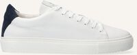 Witte GOOSECRAFT Lage sneakers JASON CUPSOLE - medium