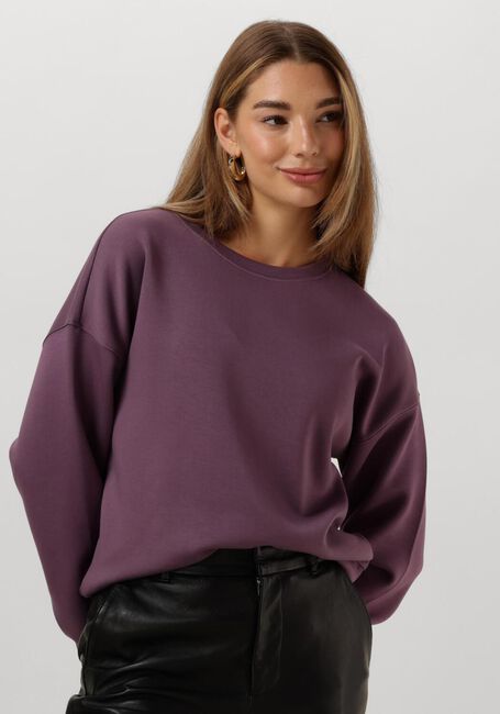 Paarse MSCH COPENHAGEN Trui MSCHIMA Q SWEATERSHIRT - large