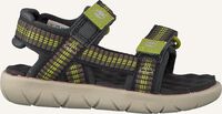 Grijze TIMBERLAND Platte sandalen PERKINS ROW WEBBING SNDL - medium