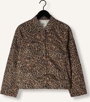 Bruine OBJECT Jack OBJSENI MANYA JACKET E DIV Bruine OBJECT Jack OBJSENI MANYA JACKET E DIV - medium